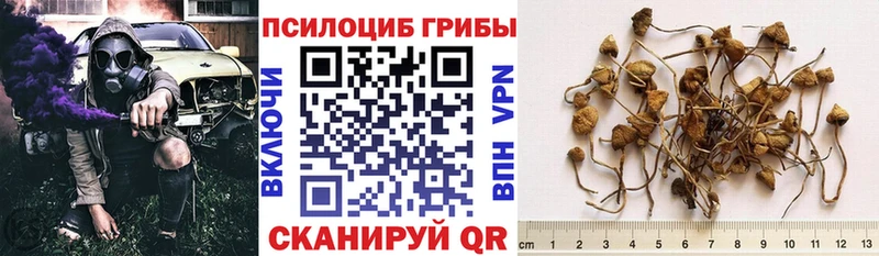 Галлюциногенные грибы мухоморы  цены   Костерёво 